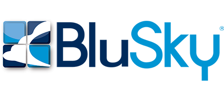 Corporate Partner of the Month: BluSky Restoration