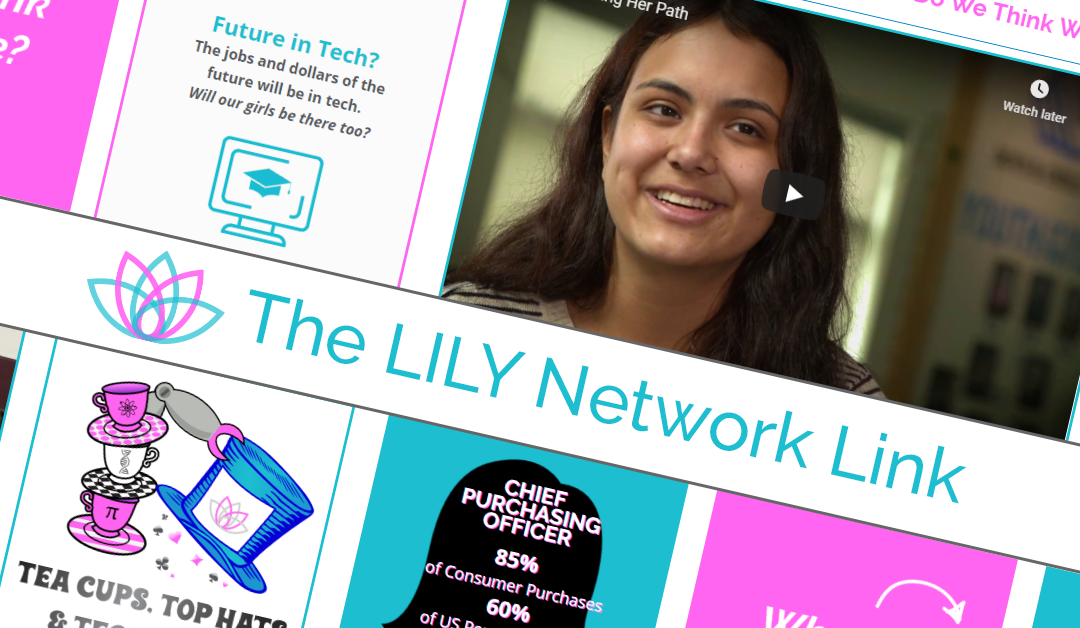 LILY Link: Who Do We Think We Are?