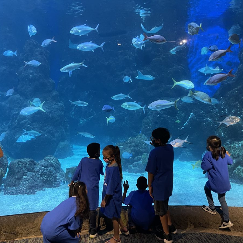 acuario de denver