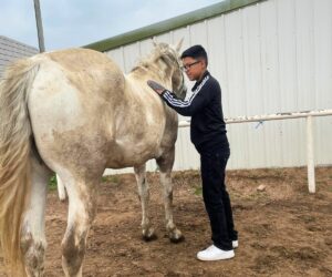 Summer Adventures | Boys & Girls Clubs of Metro Denver