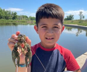 Summer Adventures | Boys & Girls Clubs of Metro Denver