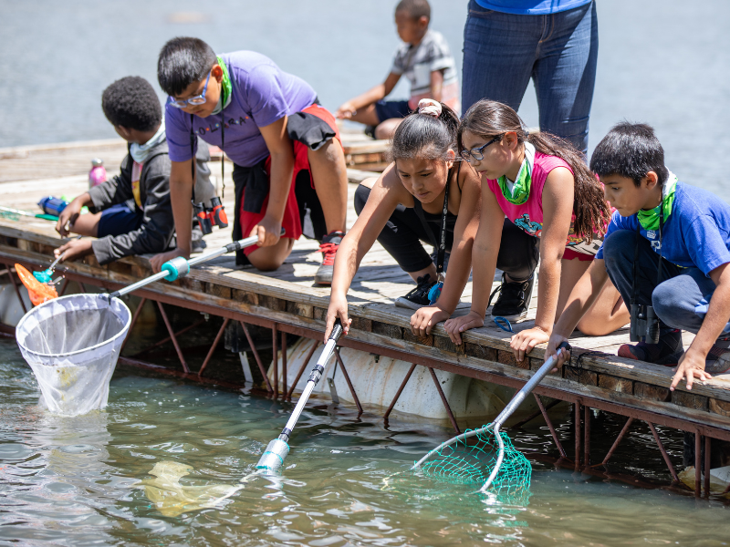 Water ecology